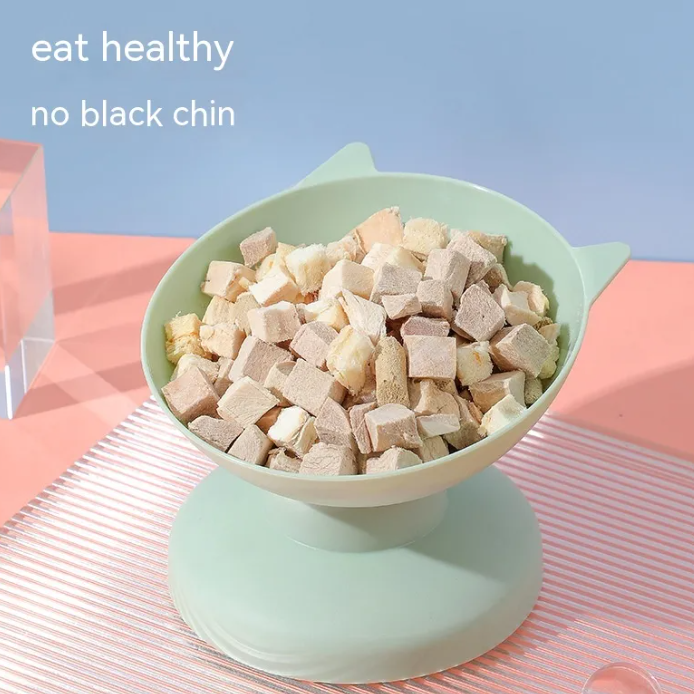 Tilted Cat Bowl - Raised 15 Degree Whisker-Friendly Feeding Dish